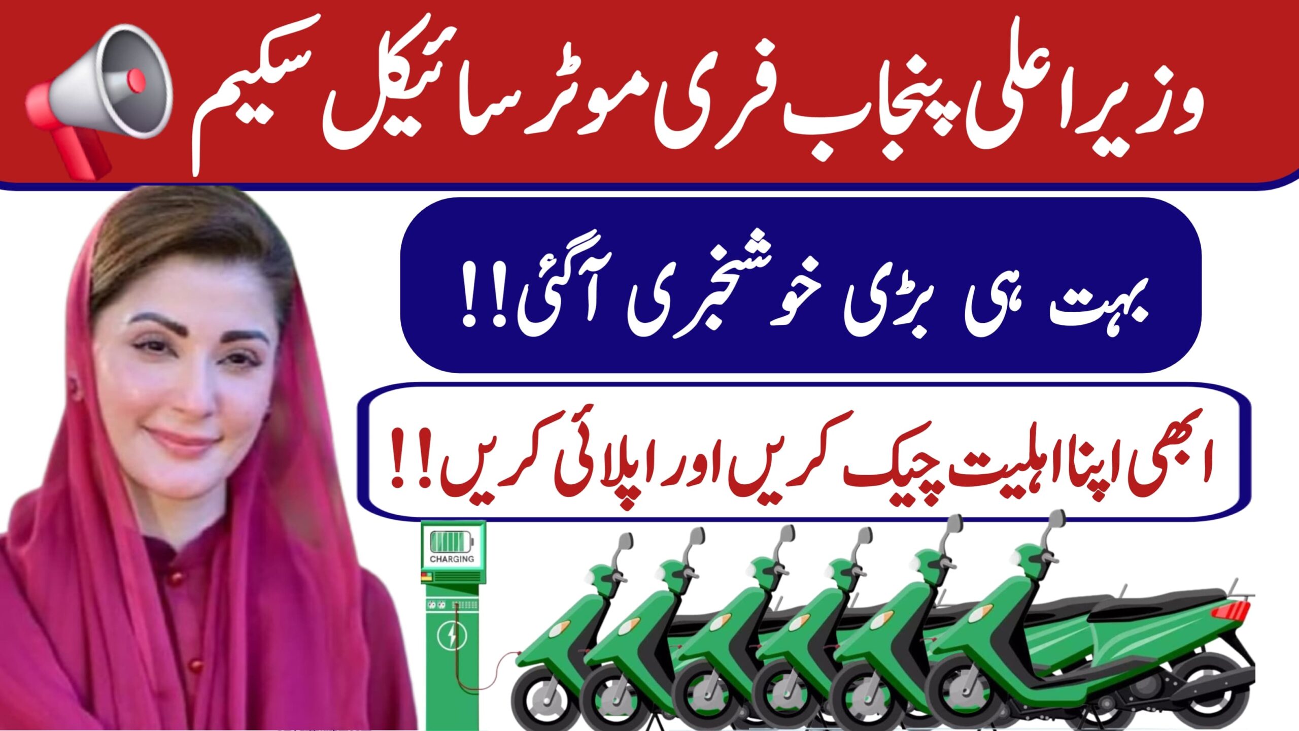 Punjab Government's Free E-Bike Scheme 2025: A Complete Guide, ary digital pk