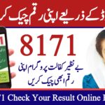 Check Your BISP 8171 Score Online with Your CNIC - 2025 Update, ary digital pk